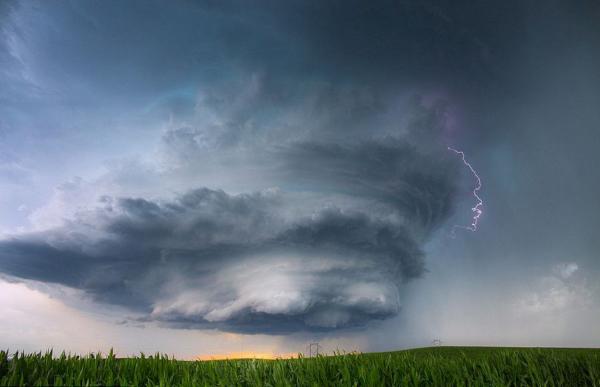 ����Ӱʦ����籩�о�������