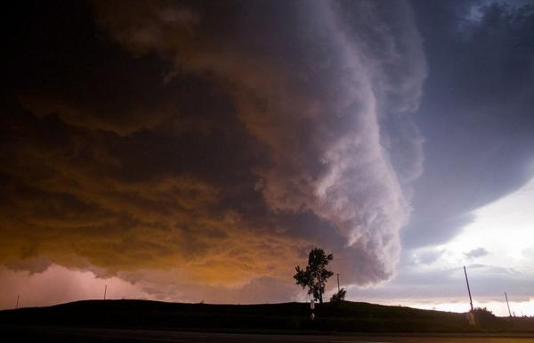 ����Ӱʦ����籩�о�������