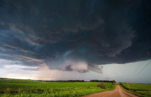 ����Ӱʦ����籩�о�������