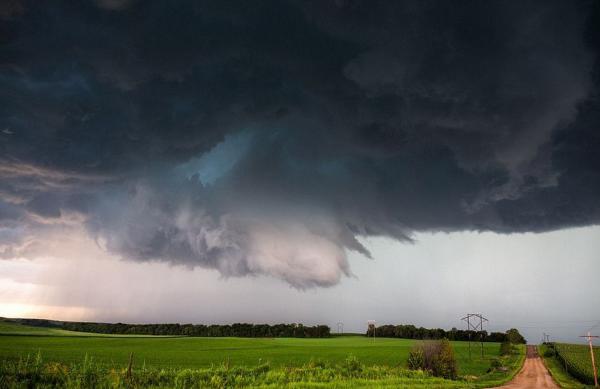 ����Ӱʦ����籩�о�������