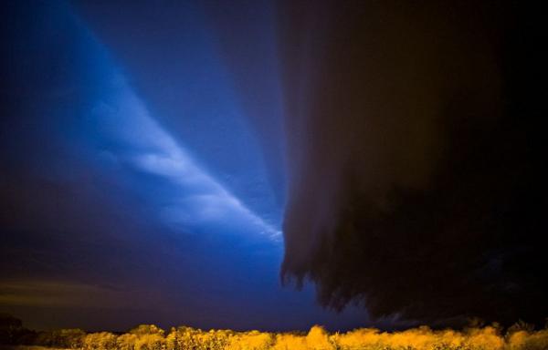 ����Ӱʦ����籩�о�������