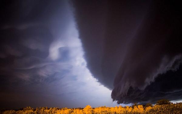 ����Ӱʦ����籩�о�������