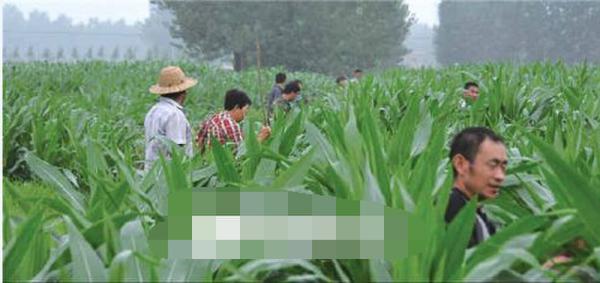 ����Ů��ʧ���ѱ��� ���Ʊ��綯������