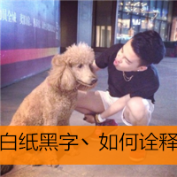 QQ˧ͷͼƬ