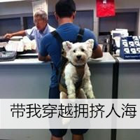 QQ˧ͷͼƬ