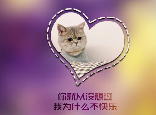 ΨͼƬϼ