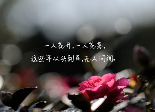 ĬΨִͼ
