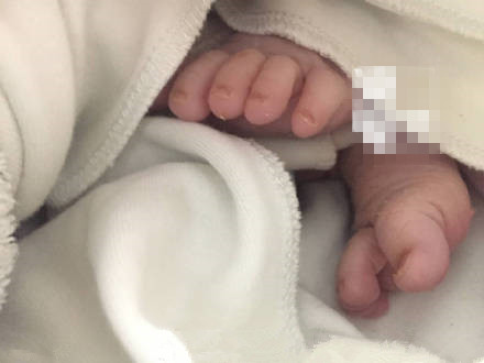 ���������衱��Ӣ��Ϊ���󸴳����ﱸ