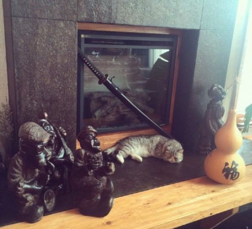 ������ɹ��լ�ھ� װ�޺���