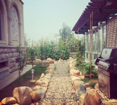 ������ɹ��լ�ھ� װ�޺���