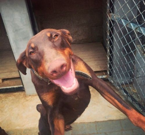 ������ɹ��լ�ھ� װ�޺���