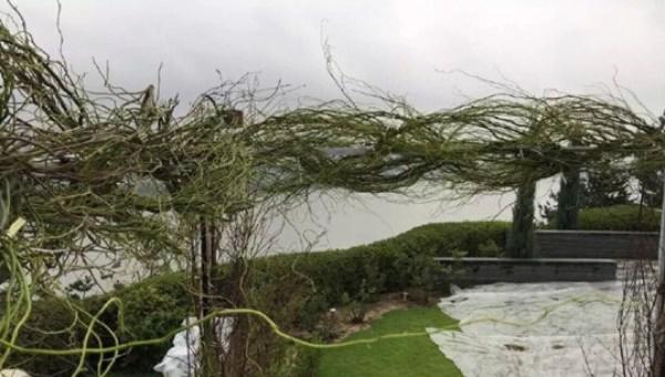 �������¿�27�մ�� �������13��