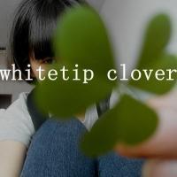 崿ɰͿͷͼƬ