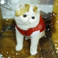 ϵɰèQQͷ