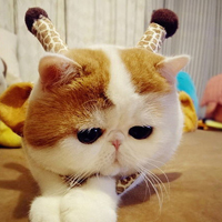ϵɰèQQͷ