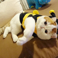 ϵɰèQQͷ