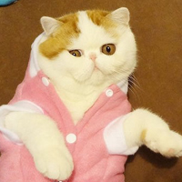 ϵɰèQQͷ