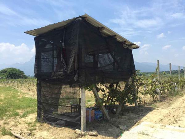 ͬ��������������԰��ү �����������ѽ������