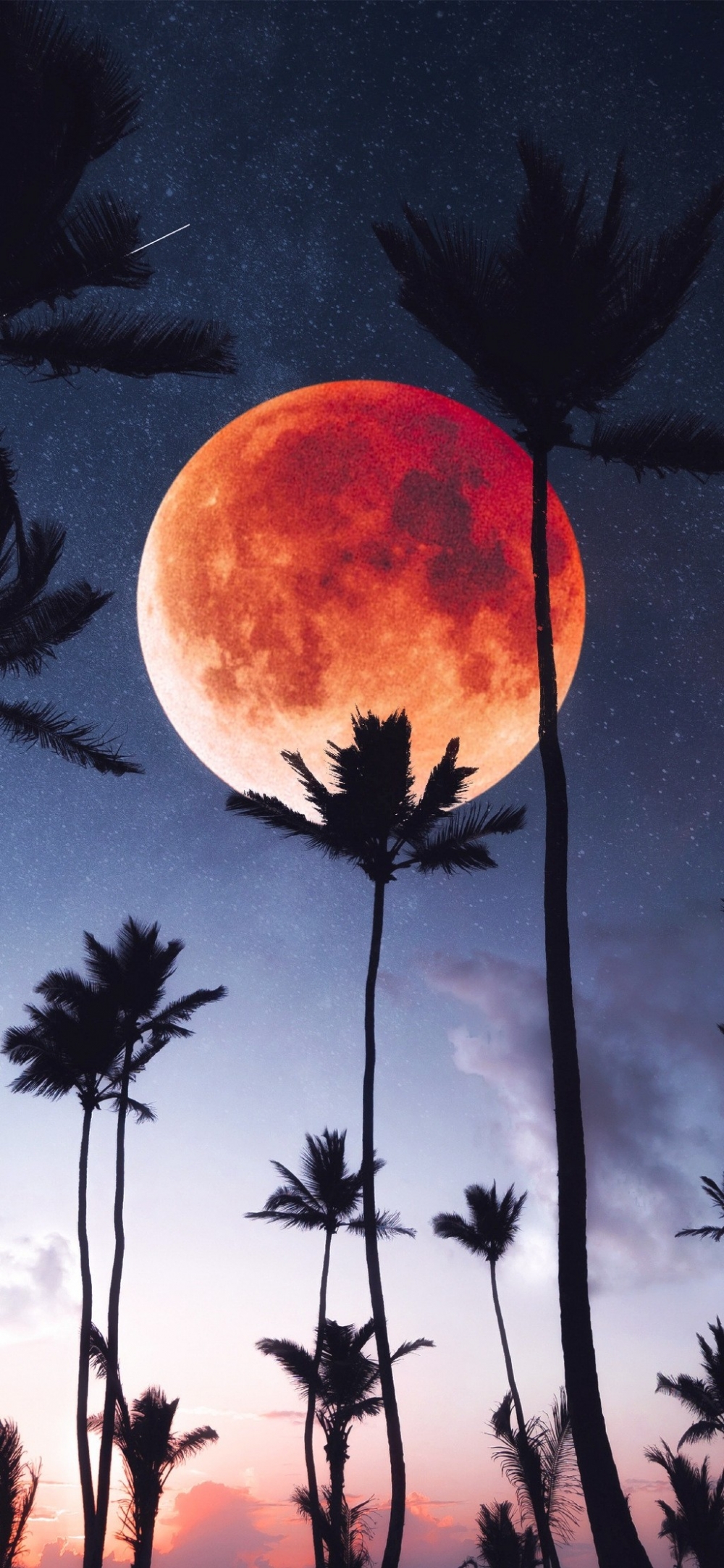 ƻµļӰͼƬΨ⾳Сֻֽ