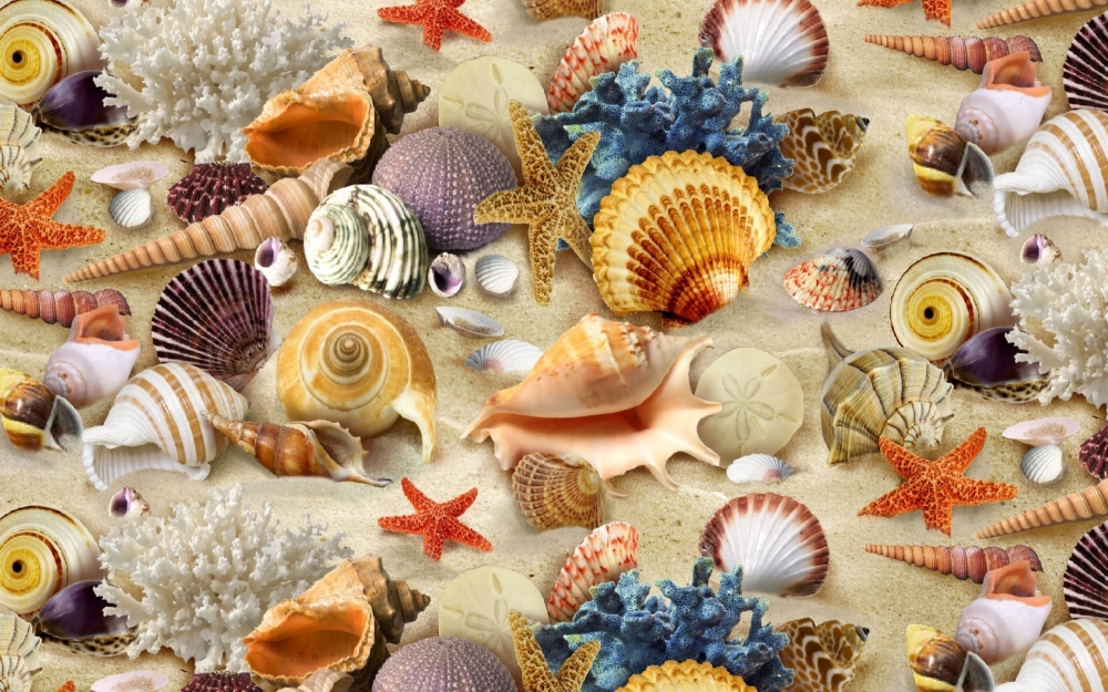 ɳ̲ϵıǺݸӰ߷羰ͼƬ