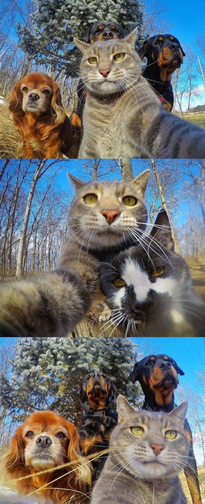 ɰèͼƬ ЦèèƬ