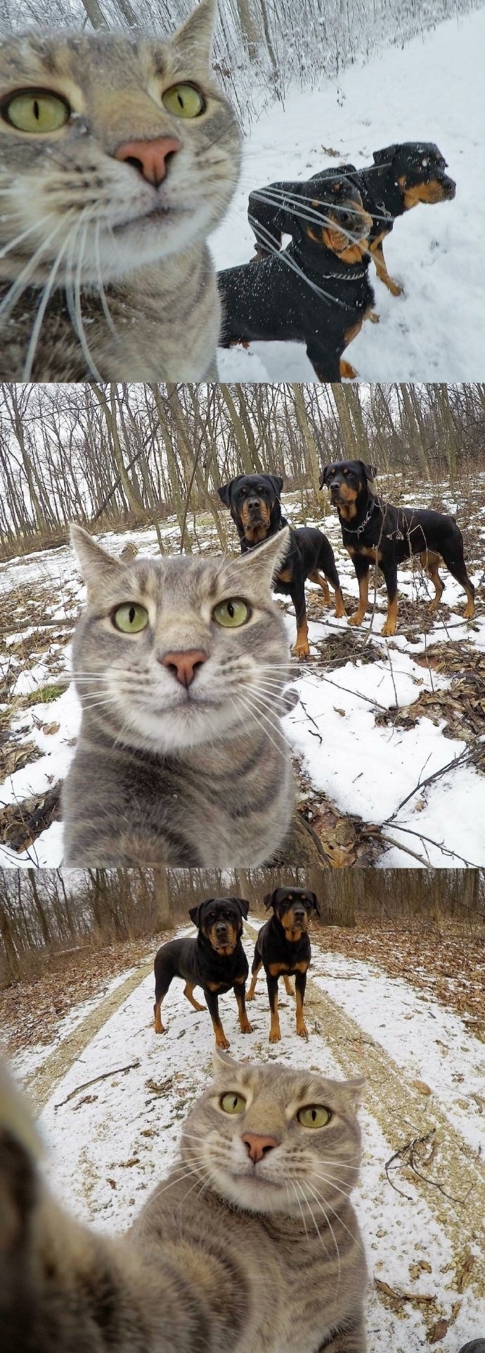 ɰèͼƬ ЦèèƬ