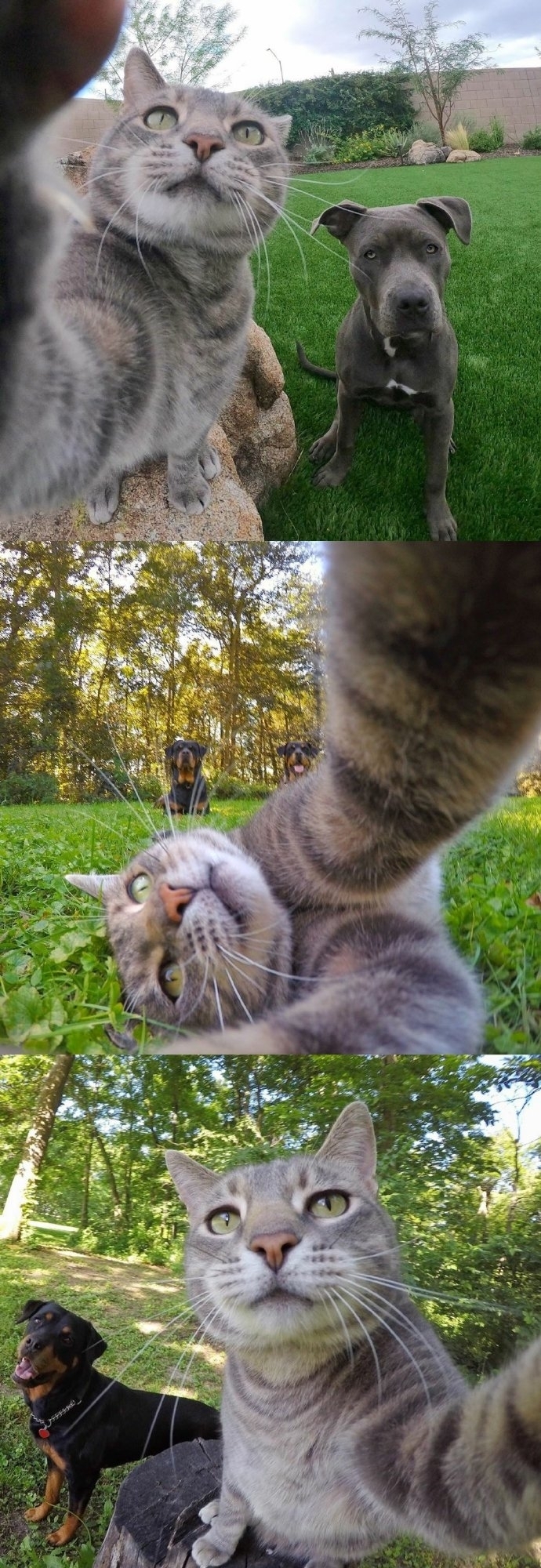 ɰèͼƬ ЦèèƬ