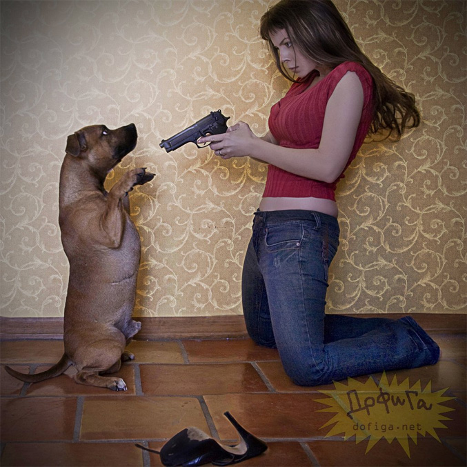 ıЦͼ