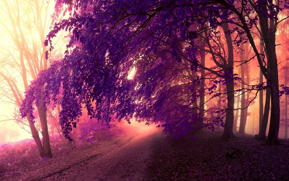 ɫҶȻ羰ֽ̬ͼ