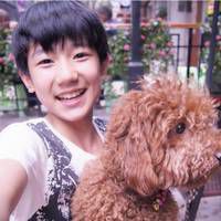 ɬ۵tfboysСֻqqͷ