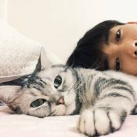 qqͷ˧ͼƬ