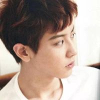 EXO˧ͷȫ