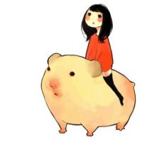 յֻ濨ͨͷȫ