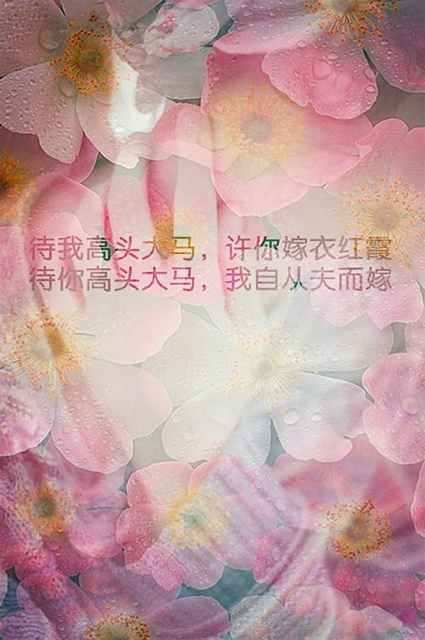 ֵΨ羰ͼƬ