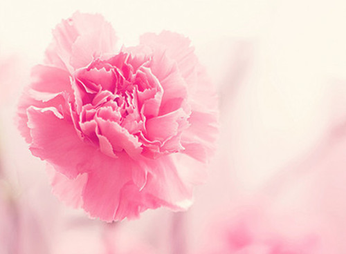 ϵĻ⾳羰ͼƬ