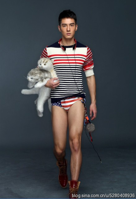 ʢһ�������ͬ������ ʢһ��gv��Դͼ��