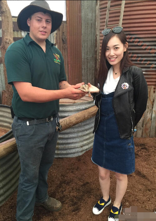 ����ǿ�������������մ��ع� ����ǿ�м�������