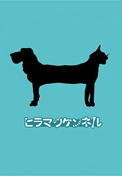 ͼƬز