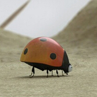 3DӰܶԱͨͼ