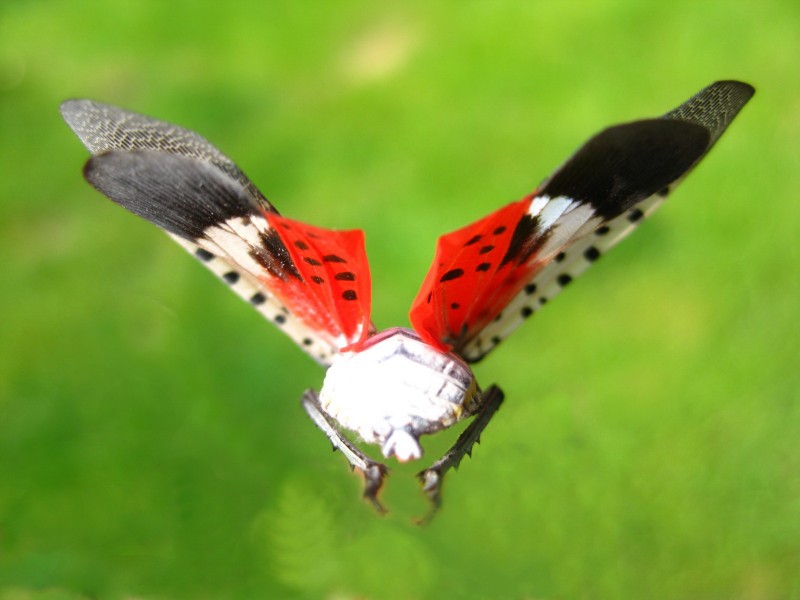 ΢ӰͼƬ