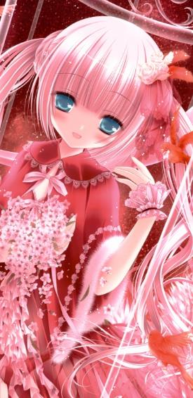 Projectϸͬͼѡ