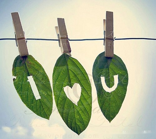 IloveyouͼƬΨ עҪ֮