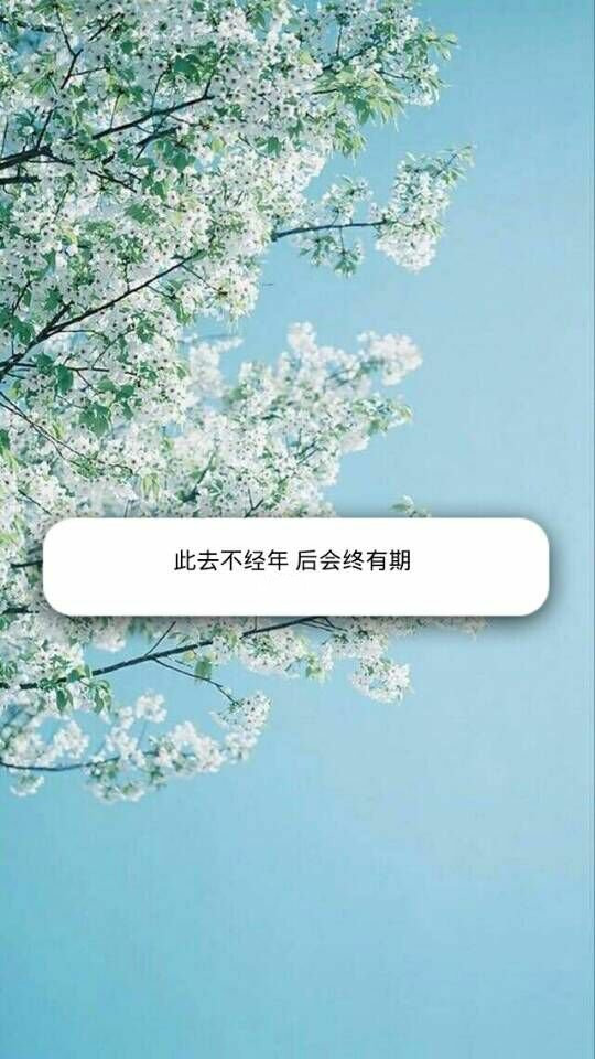 鱯⾳ͼƬ