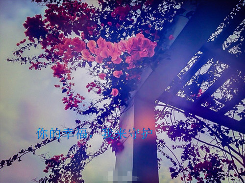 ƮķҶ˼ Ψ¼