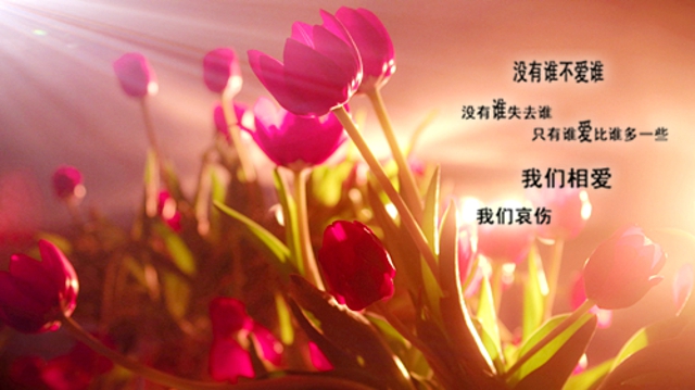 Ĳᶯ ˸а龭