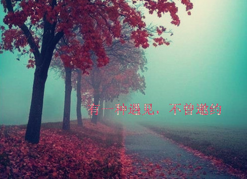 ƮķҶ˼ Ψ¼