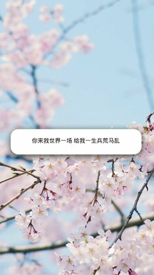 鱯⾳ͼƬ