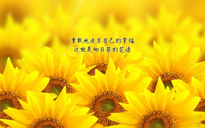 ʲôҸֿͼƬֽΨ