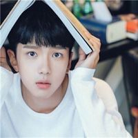 ϵ˧зַͲͷȫ