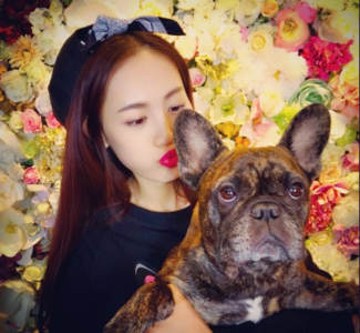 ���ظ���������Ϣ�ع� ��ʷ���������������